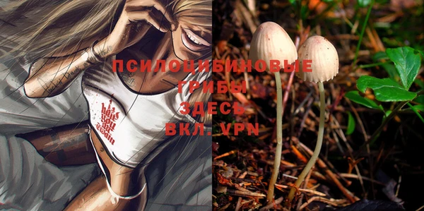 PSILOCYBIN Верхний Тагил